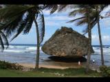 Barbados Bathsheba Rocks 2011
